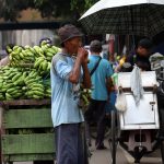 Tetap Ditarik Walau Sedang Tak Menarik
Penjual pisang beristirahat di pinggir jalan Raya Cipulir, Cileduk, Sabtu, 1 Juni 2024, di sela perjalanannya mengantar dagangan. Sejumlah pedagang pisang di Pasar Kebayoran Lama mengeluhkan penjualannya menurun. | Foto: Media Asuransi/Arief Wahyudi