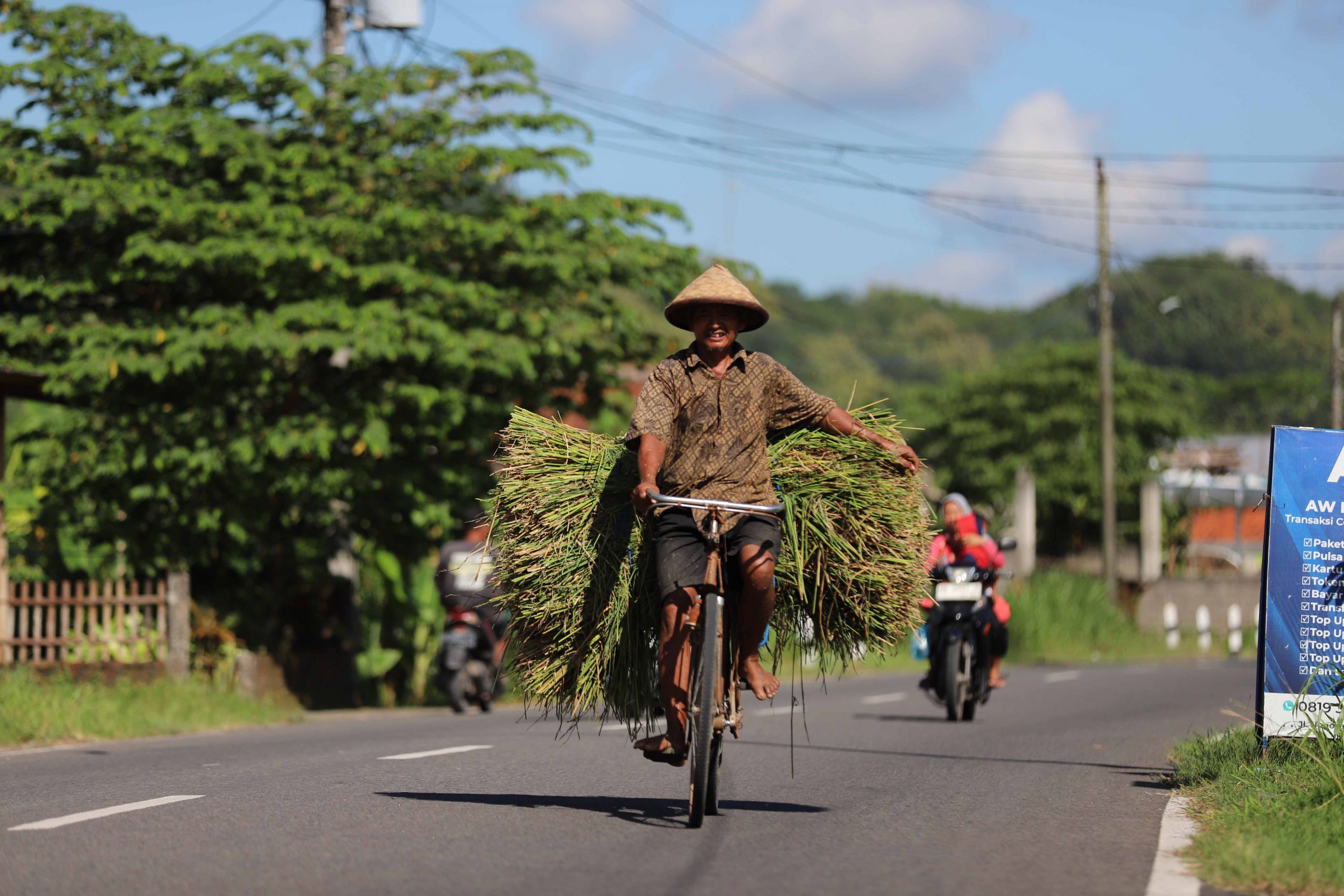 Seorang petani di Bantul, DIY, mengangkut padi hasil panen menggunakan sepeda onthel menyusuri jalan raya, pertengahan Juni 2025. | Foto: Media Asuransi/Arief Wahyudi