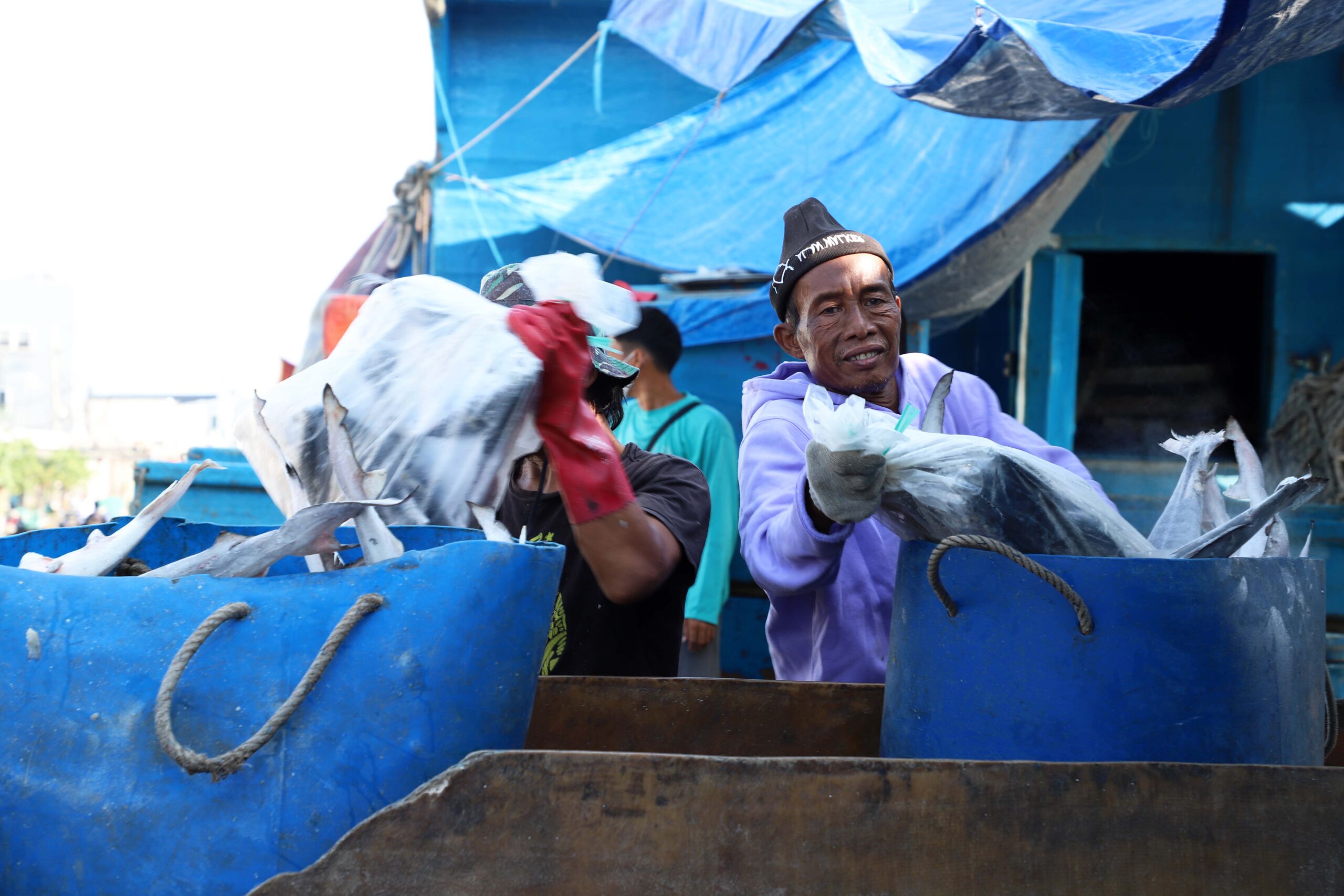 Nelayan sedang merapikan hasil tangkapan yang akan di lelang di pasar ikan. | Foto: Media Asuransi/Arief Wahyudi