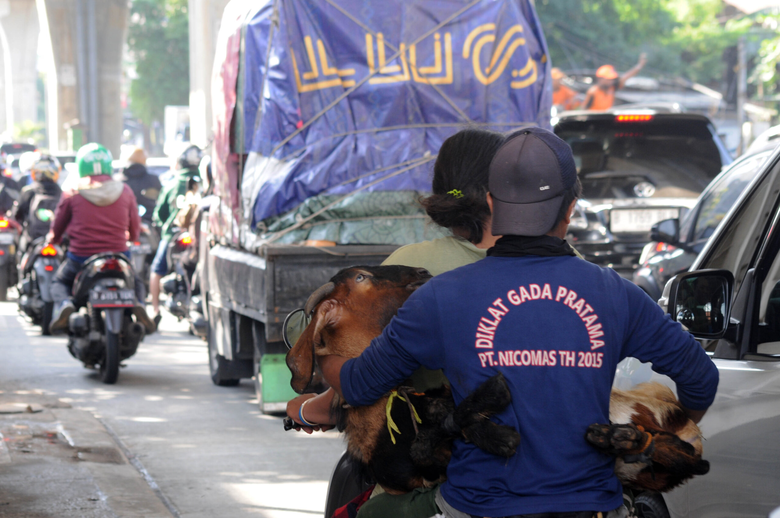 Moment yang selalu ada saat Idul Adha | Foto: Arief Wahyudi