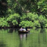 Sejumlah wisatwan asing sedang menikmati pemandangan alam pohon mangrove menggunakan perahu di Taman Wisata Alam (TWA), Angke, Kapuk, Jakarta - Utara, Sabtu, (17/5/25). TWA Angke Kapuk menawarkan beragam aktivitas seru, mulai dari wisata air yang menyegarkan, petualangan alam yang menenangkan, hingga kegiatan konservasi yang mendidik. Nikmati pengalaman tak terlupakan sambil ikut serta dalam pelestarian ekosistem mangrove. | Foto: Media Asuransi/Arief Wahyudi