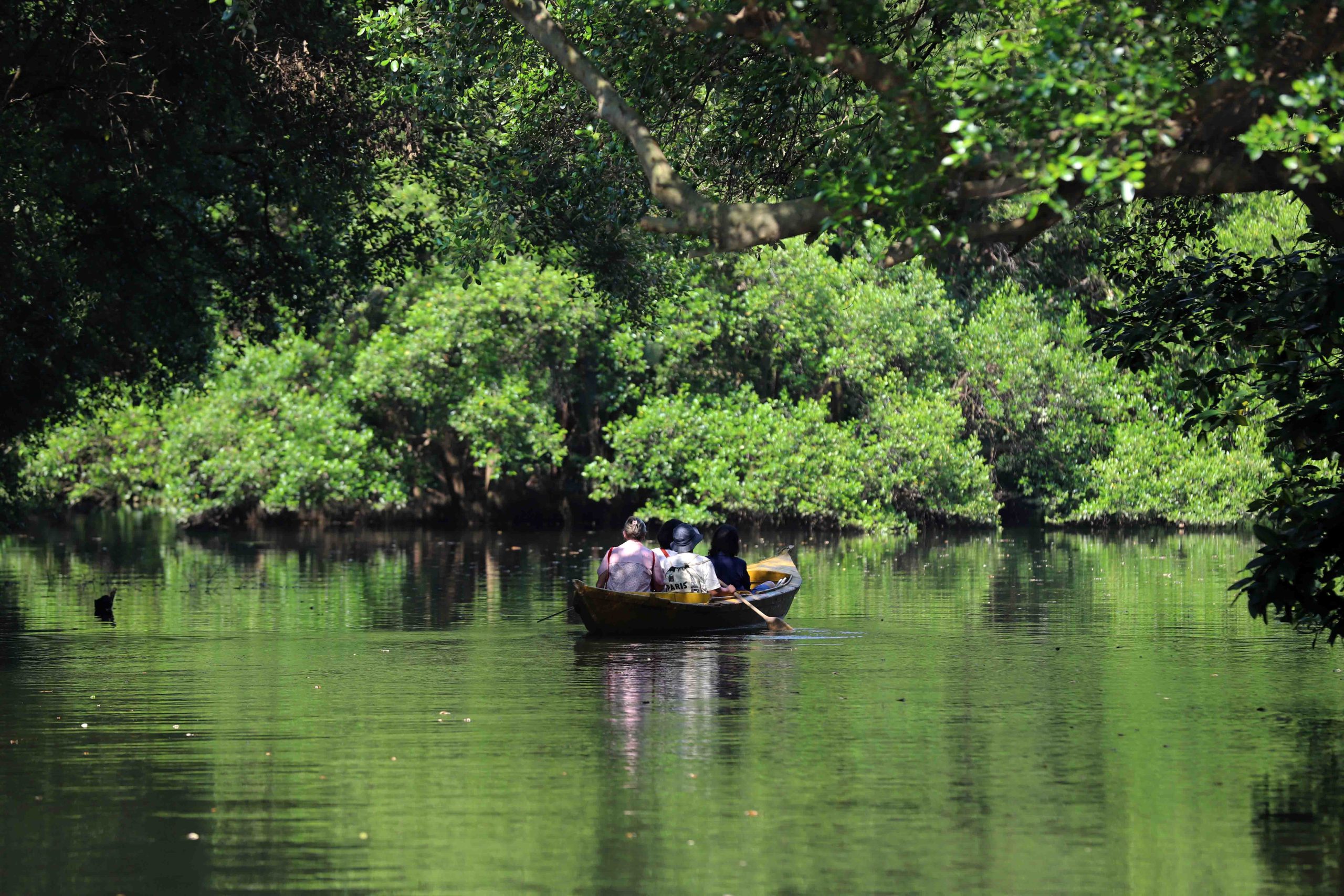 Sejumlah wisatwan asing sedang menikmati pemandangan alam pohon mangrove menggunakan perahu di Taman Wisata Alam (TWA), Angke, Kapuk, Jakarta - Utara, Sabtu, (17/5/25). TWA Angke Kapuk menawarkan beragam aktivitas seru, mulai dari wisata air yang menyegarkan, petualangan alam yang menenangkan, hingga kegiatan konservasi yang mendidik. Nikmati pengalaman tak terlupakan sambil ikut serta dalam pelestarian ekosistem mangrove. | Foto: Media Asuransi/Arief Wahyudi