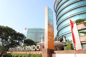 Solid Performance of Few General Insurances Amidst Significant Losses
