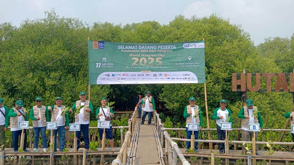 STMA Trisakti Bersama OJK dan Industri Perasuransian Tanam Bibit Mangrove