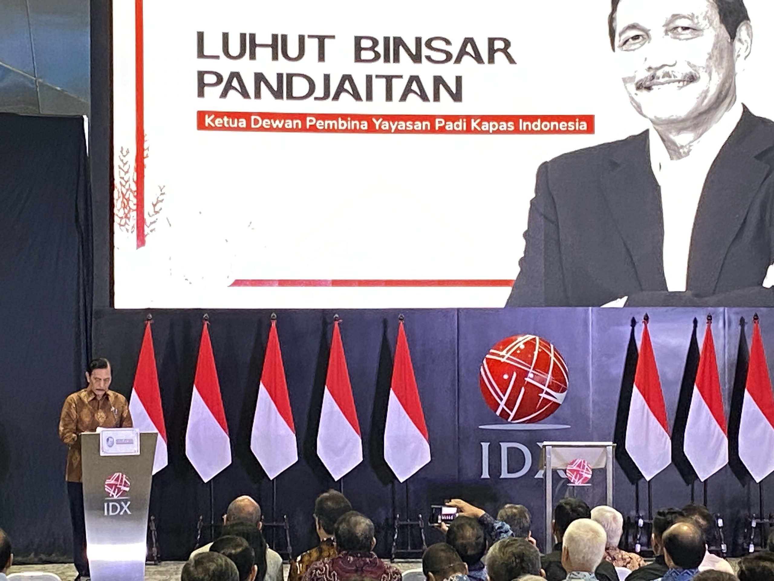 Pesan Penting Luhut untuk Keponakannya Pandu Sjahrir dalam Menakhodai Danantara