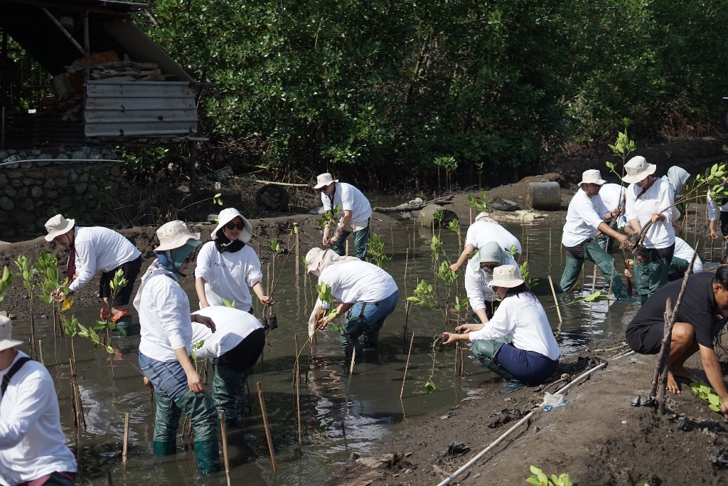 AMOREPACIFIC Indonesia dan IBF Tanam Mangrove di NTB