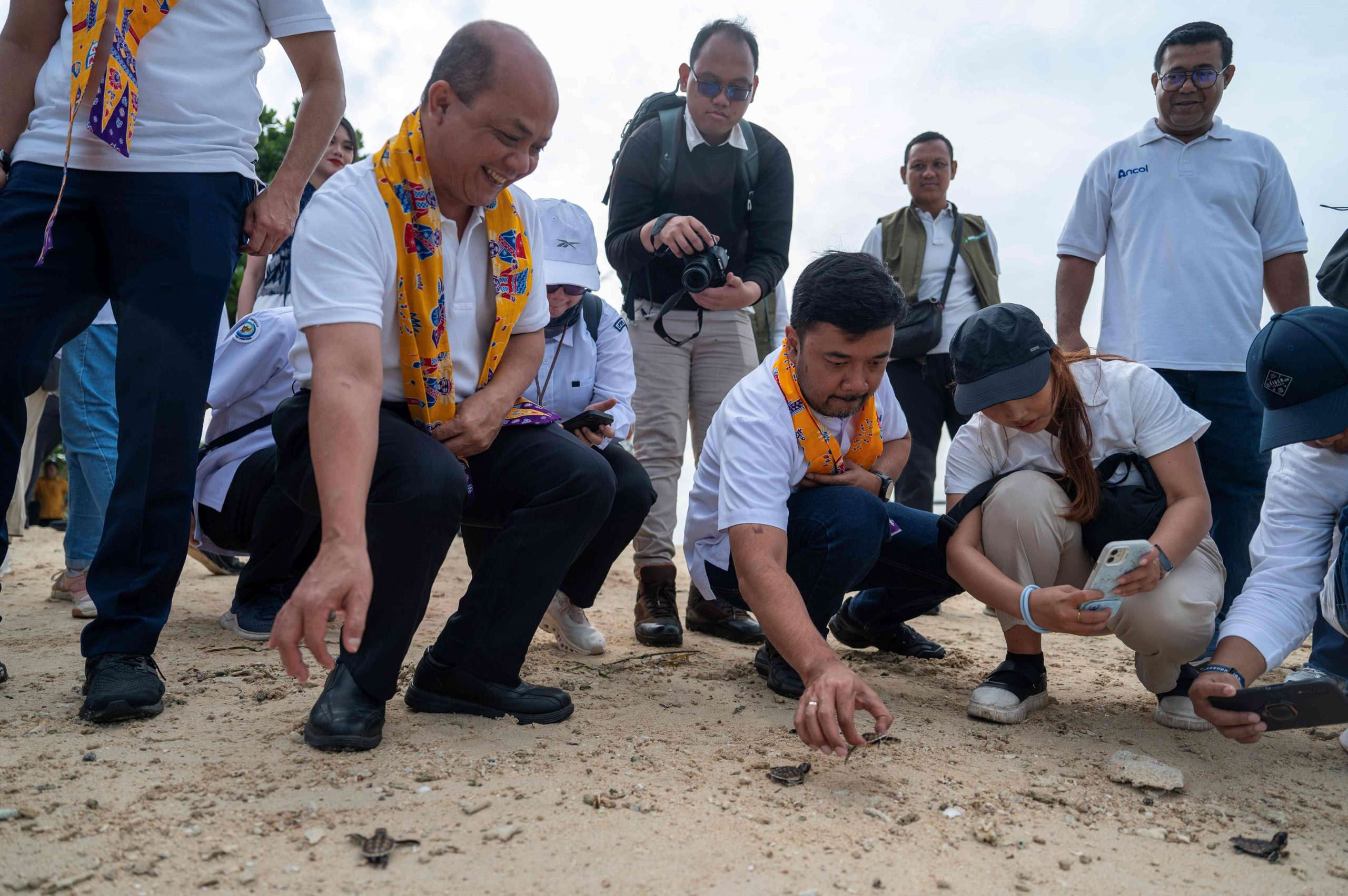 Pelepasliaran Tukik Penyu Sisik di Pulau Bidadari