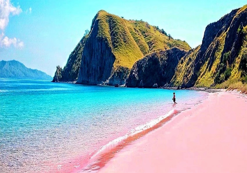 Pesona Pink Beach, Pantai Terindah Dunia di Labuan Bajo