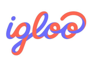 Igloo: Produk Mikro Dinilai Paling Efektif Perluas Akses Asuransi di Indonesia