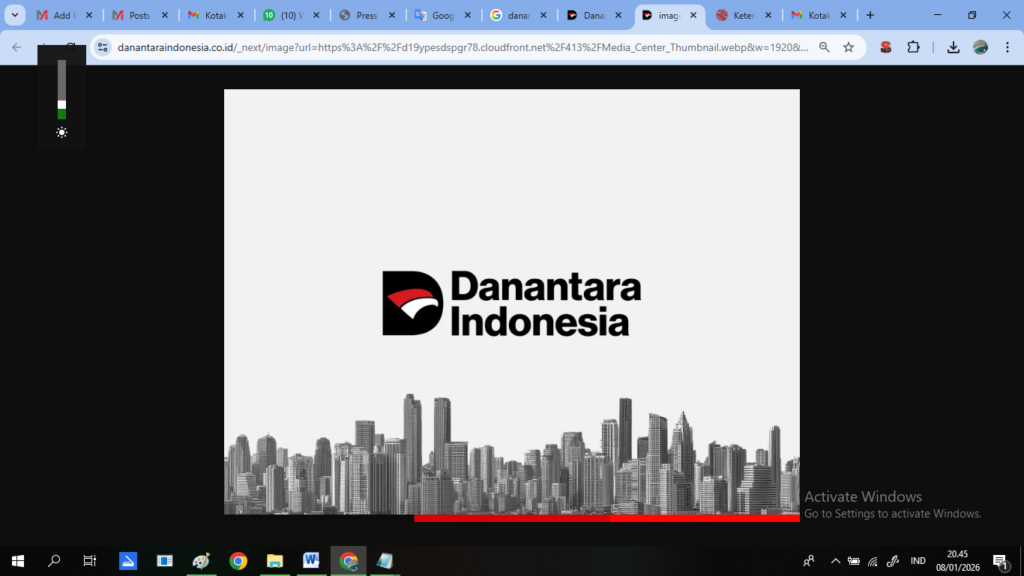 Kehadiran Danantara Dinilai Penting untuk Hadapi Keterbatasan APBN
