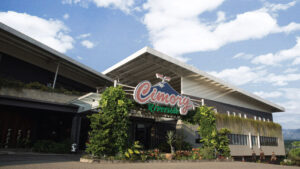 Laba Cimory (CMRY) Naik 33,80% di 2025, Tembus Rp2,03 Triliun