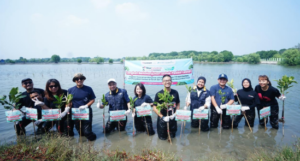 Pelindo Dukung Restorasi Ekosistem Pesisir Muara Gembong Lewat Penanaman Mangrove
