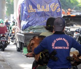 Moment yang selalu ada saat Idul Adha | Foto: Arief Wahyudi