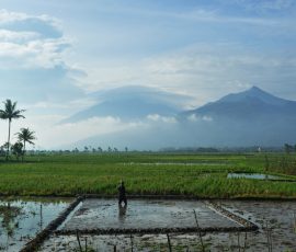 Petani sedang berada di pematang sawah siap tanam. | Foto: Arief Wahyudi