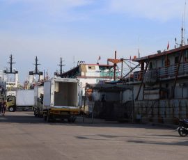 Aktifitas pagi di Pelabuhan Muara Baru, Penjaringan, jakarta Utara. | Foto: Media Asuransi/Arief Wahyudi