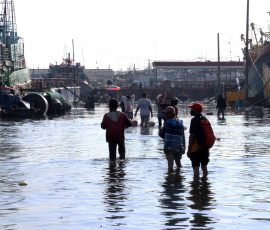 Banjir ROB sering melanda di kawasan Pelabuhan Muara Baru, Penjaringan, Jakarta Utara. | Foto: Media Asuransi/Arief Wahyudi