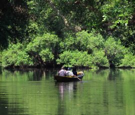 Sejumlah wisatwan asing sedang menikmati pemandangan alam pohon mangrove menggunakan perahu di Taman Wisata Alam (TWA), Angke, Kapuk, Jakarta - Utara, Sabtu, (17/5/25). TWA Angke Kapuk menawarkan beragam aktivitas seru, mulai dari wisata air yang menyegarkan, petualangan alam yang menenangkan, hingga kegiatan konservasi yang mendidik. Nikmati pengalaman tak terlupakan sambil ikut serta dalam pelestarian ekosistem mangrove. | Foto: Media Asuransi/Arief Wahyudi